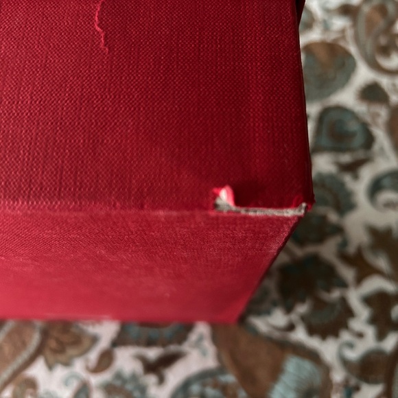 Valentino Garavani Dust Bag and Shoe Box - Picture 9 of 9